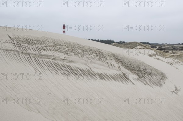 Dune landscape with lighthouse, Süddorf, Amrum, Schleswig-Holstein, Germany, Europe