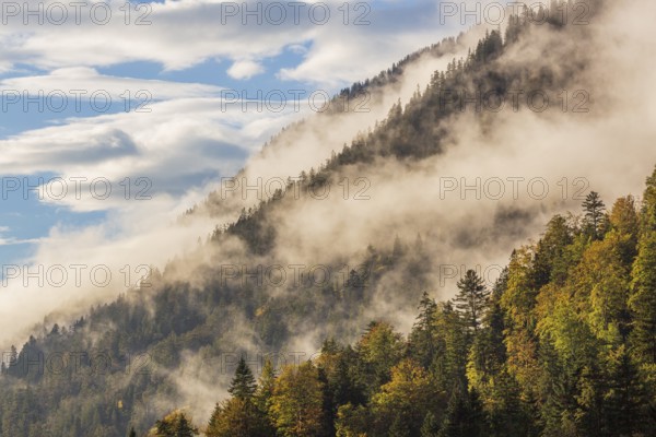 Isar valley nature conservancy area. The wild Isar river flows through its gravel bed past