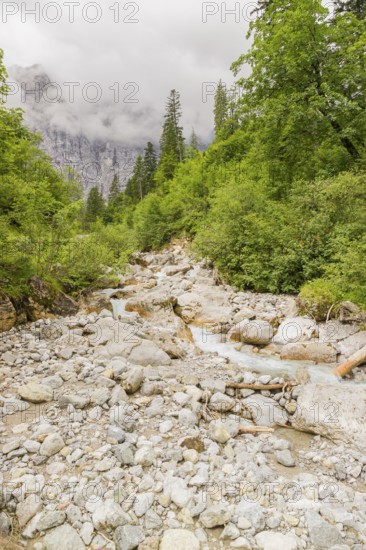 The Enger-Grund creek flowing fast through the Eng valley, Tyrol, Austria, Europe