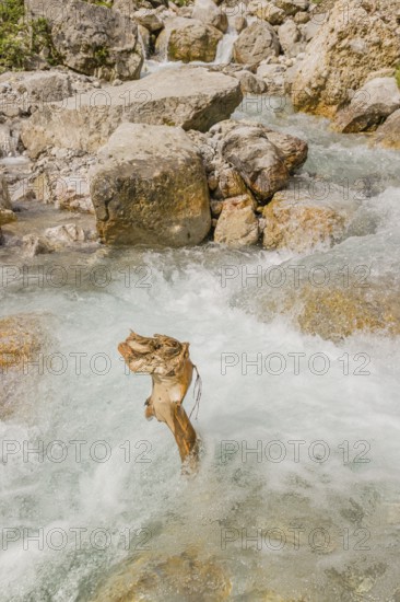 The Enger-Grund creek flowing fast through the Eng valley, Tyrol, Austria, Europe
