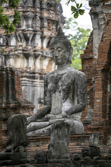 Buddha statue in Wat Mahathat Ayutthaya, Temple of the Great and Holy Relic, Ayutthaya, Ayutthaya