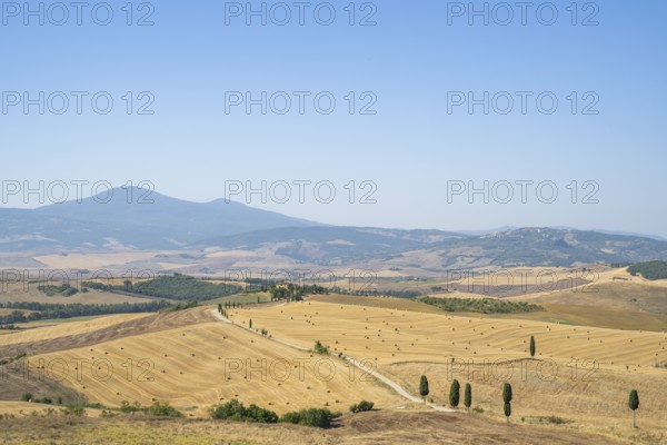 Typical Tuscan landscape in Val d'Orcia with hills, trees, fields, cypresses and farm road in