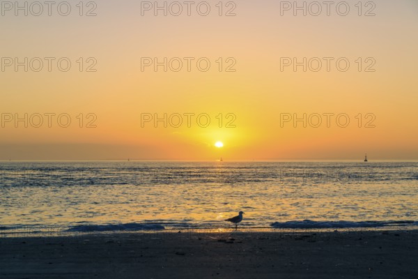 Sunset on the west beach of Norderney, Lower Saxony, Germany, Europe