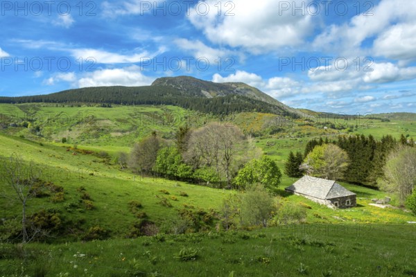 Lush Green Landscape of Mont Mezenc in in the Monts d'Ardeche Regional Natural Park,