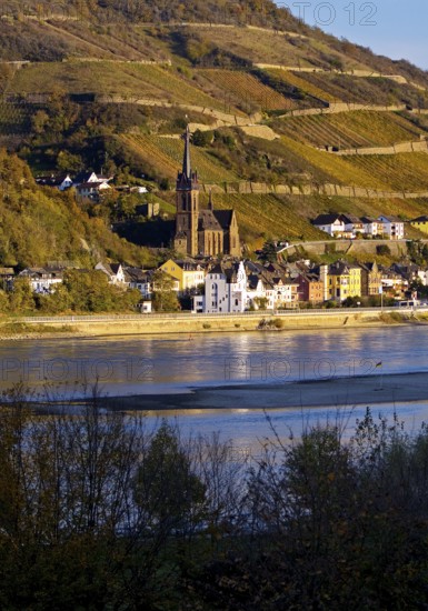 View across the Rhine in the late evening light from Bacharach to Lorch with the parish church of