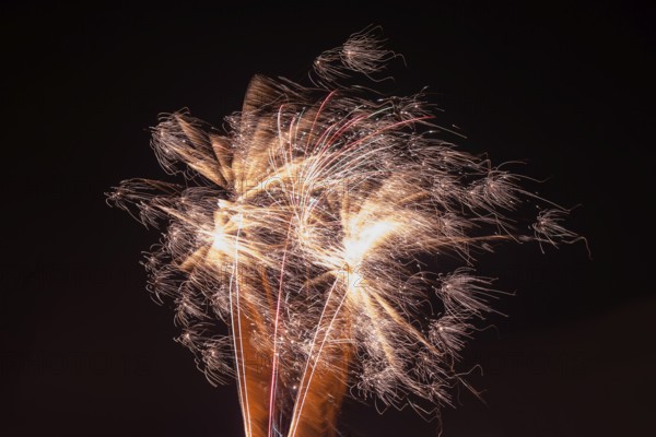 Gold-coloured explosion of fireworks in the dark sky, Lower Saxony, Germany, Europe