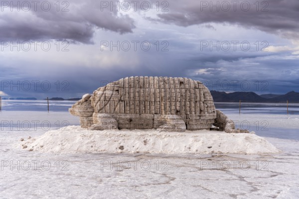 Colchani salt sculptures, Uyuni, Bolivia, South America