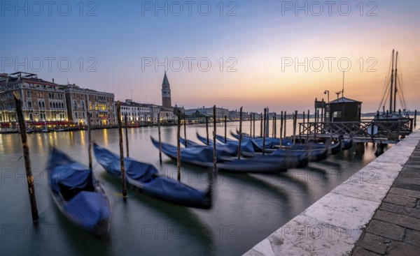 Venetian gondolas, boat dock at the customs office on the Grand Canal, Gondola Traghetto Dogana,