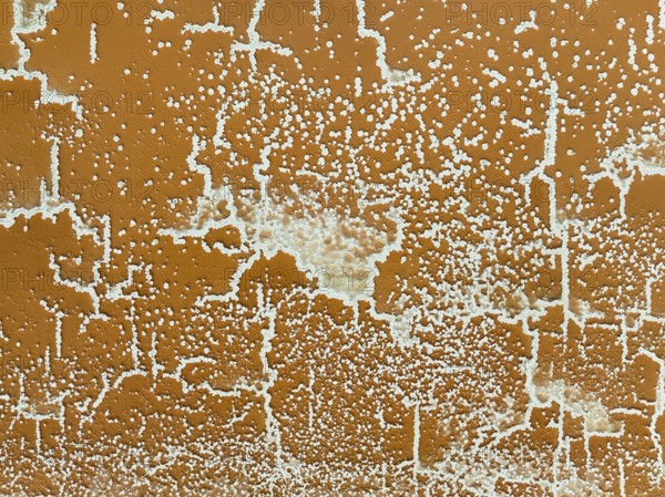 Saline deposits at the Bonanza salt works near Sanlúcar de Barrameda. Aerial view. Drone shot.