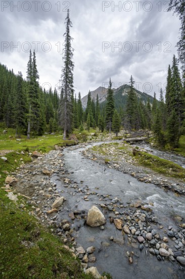 Green mountain valley with forest and mountain stream, Chong Kyzyl Suu Valley, Terskey Ala Too,