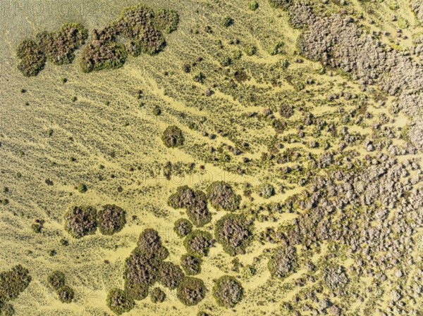 Marshland at low tide. Nature Reserve La Breña y Marismas del Barbate. Aerial view. Drone shot.
