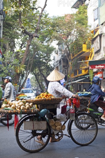 Vietnamese street vendor with conical hat and bicycle in the Old Quarter of Hanoi, Vietnam, Asia