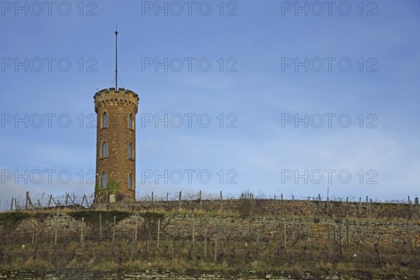 Neo-Gothic tower built in 1890 in the vineyard, vineyard, art trail, Heiligenblut, Alzey,