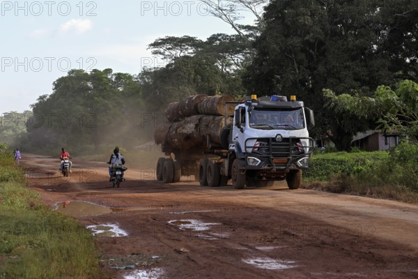 Lorry loaded with tropical timber from the Congo Basin, near Yokadouma, Boumba-et-Ngoko district,