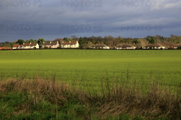 Houses spread out in a line in the linear village of Sutton, Suffolk, England, UK