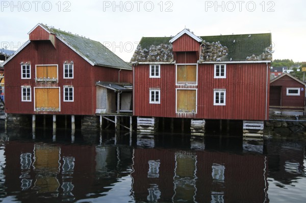 Traditional harbour buildings in fishing village of Rorvik, Norway, Europe