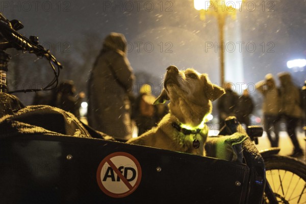 Recordings as part of the demonstration Auf die Strasse! Against the AfD's Nazi deportation plans