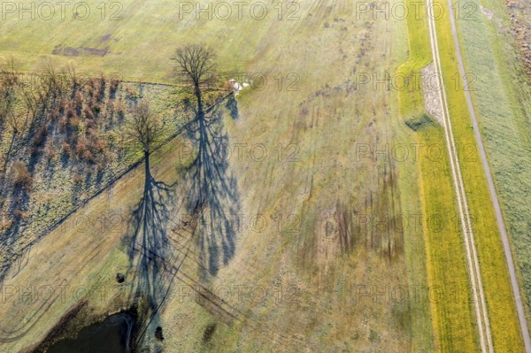 Aerial view of new dyke construction further inlands than the old dyke, flood protection, river