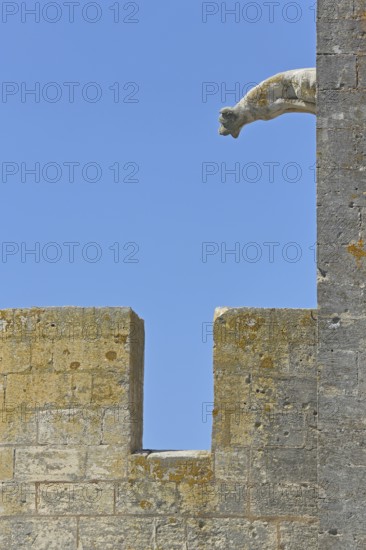 Gargoyle with battlements at the Porte de la Reine, city gate, city wall, detail, dog figure,