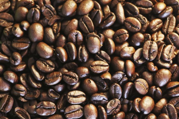 Close up view coffee beans