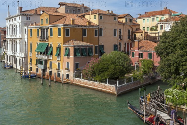Palaces on the Grand Canal, Venice, Italy, Europe