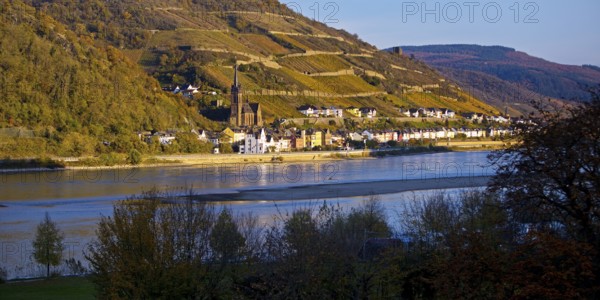 View across the Rhine in the late evening light from Bacharach to Lorch with the parish church of