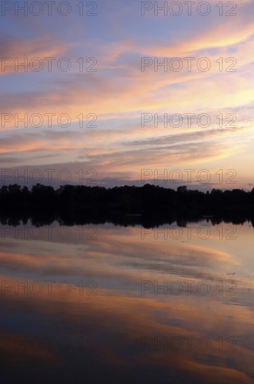 Upper Lusatian heath and pond landscape, evening mood, June, Saxony, Germany, Europe