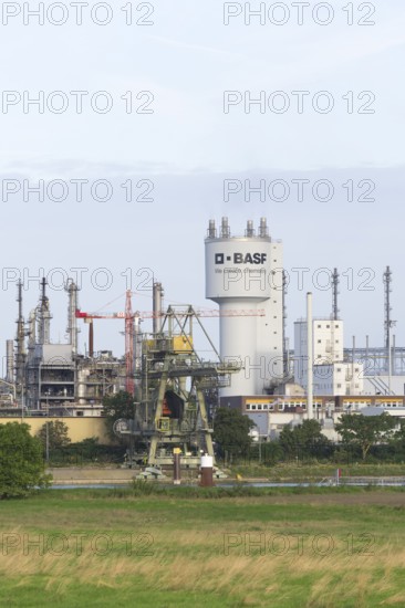 BASF, Lugwigshafen am Rhein, industrial estate, Wiese, Mannheim, Baden-Württemberg, Germany, Europe