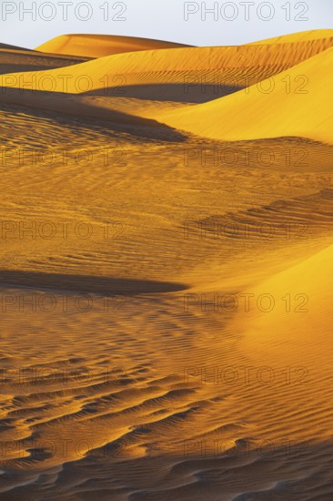Wind-sculpted curved sand dunes in the Rub al Khali desert, Dhofar province, Arabian Peninsula,