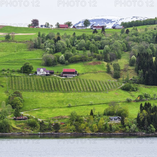 Mountains and Fjord over Norwegian Village, Olden, Innvikfjorden, Norway, Europe