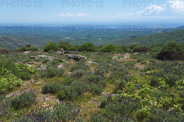 A sweeping view over a mountainous landscape with green vegetation and clear skies, crested