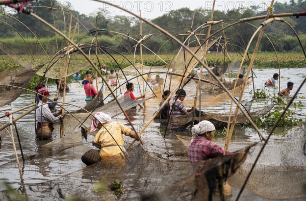 Villagers participate in a community fishing event on the occasion of the Bhogali Bihu festival at