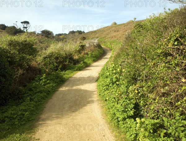 Footpath leading uphill into the centre, Island of Herm, Channel Islands, Great Britain