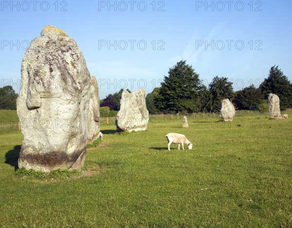 Standing stones of the henge at Avebury, Wiltshire, England, United Kingdom, Europe
