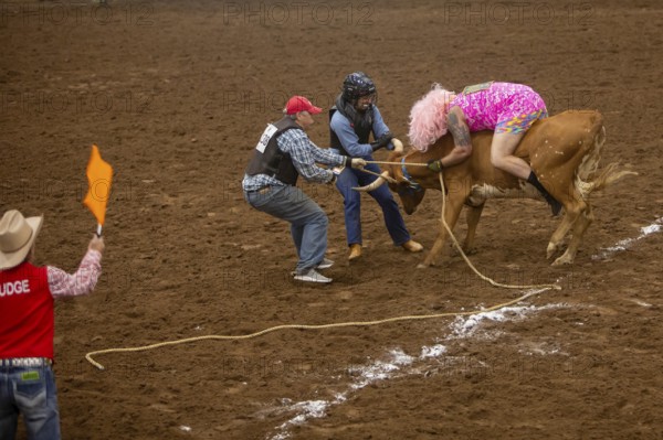 Oklahoma City, Oklahoma, The Great Plains Rodeo, an annual gay rodeo that features traditional