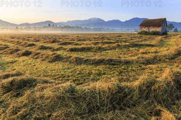 Morning atmosphere, fog, hut, mountains, mown meadow, hay, summer, Loisach-Lake Kochel moor, view