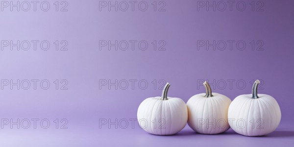 Three white pumpkins on violet background with copy space. Generative Ai, AI generated