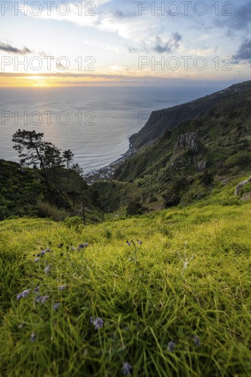 Evening mood, green coastal landscape on a steep cliff, sea and coast, viewpoint Miradouro da