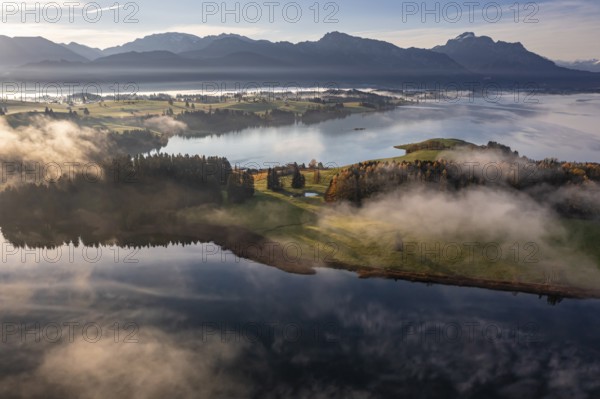 Aerial view of a lake in front of mountains in the morning light, fog, autumn, Forggensee, view of