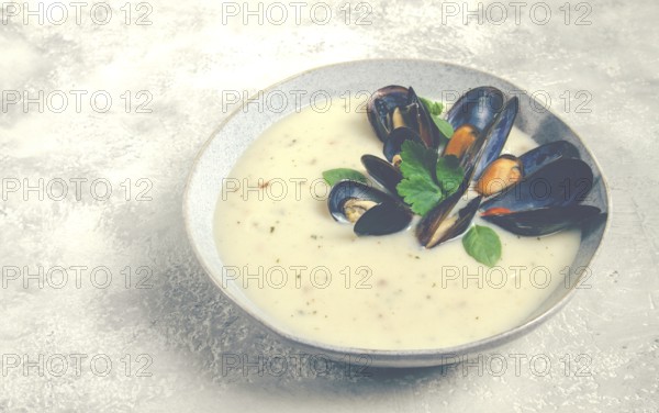 Chowder cream soup with mussels, American cuisine, homemade, no people