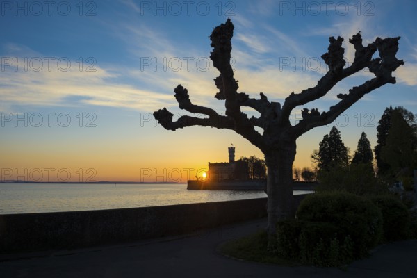 Montfort Castle, sunset, Langenargen, Upper Swabia, Lake Constance, Baden-Württemberg, Germany,