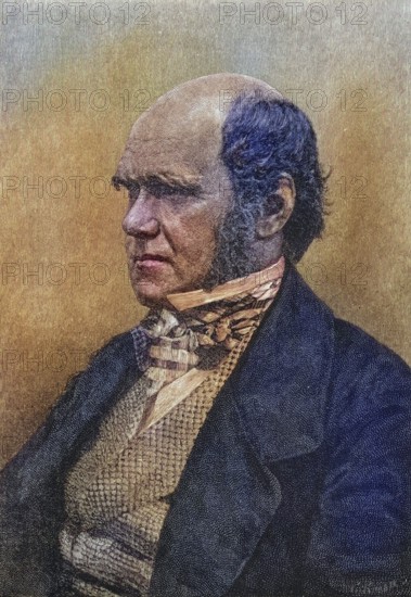 Charles Darwin, 1809?1882, 45 years old. British naturalist. After a photograph (1854?) by Maull