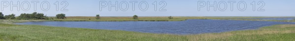 Panorama, Photomerge, Libbertsee, reed grass, trees, landscape, circular hiking trail, nature