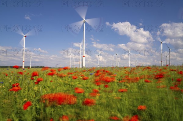Wind farm, field with flower strips, insect-friendly border of fields with mixed flowers, poppies,