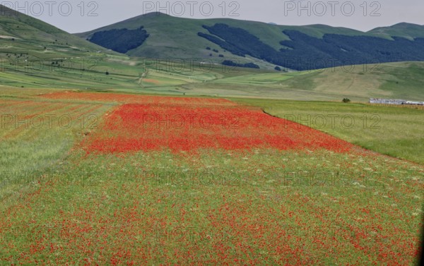 Mountain landscape on the edge of the Pian Grande di Castelluccio di Norcia plateau in the Monti