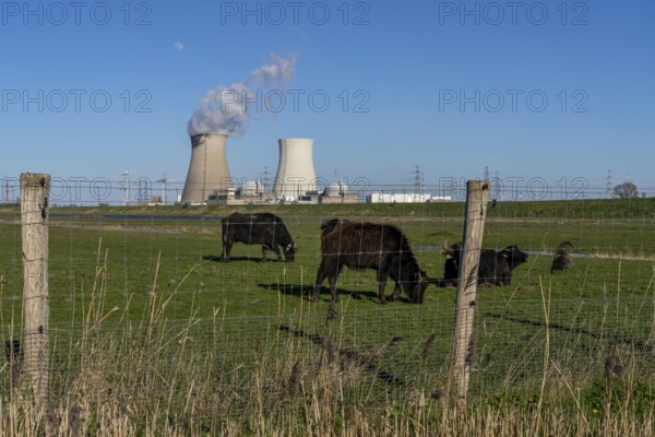 The Doel nuclear power plant on the Scheldt, one of two nuclear power plants in Belgium, consists
