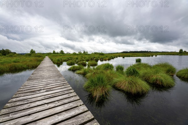 The High Fens, Brackvenn, raised bog, wooden plank hiking trail, in Wallonia, Belgium, on the