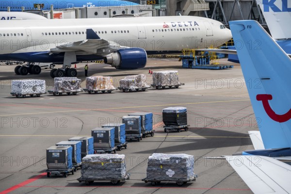 Amsterdam Airport Schiphol, aircraft at terminal, Gates D, check-in, apron, loading of air freight,