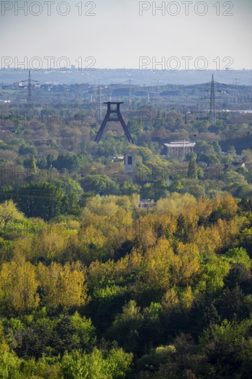 View from the Hoheward spoil tip to the south towards Wanne-Eickel, wooded areas, headframe of the