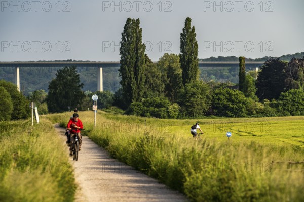Mendener Ruhraue, cycle path, footpath, view to the east, towards Mintarder Ruhrtalbrücke, Mülheim